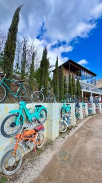 ����� �����-���������� � ������