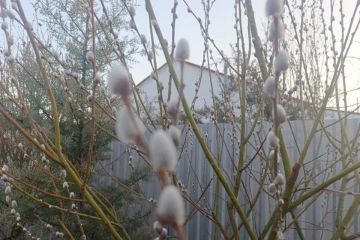 ����� ����� ������ � ���������� ������� 2 ������ 2026 ����