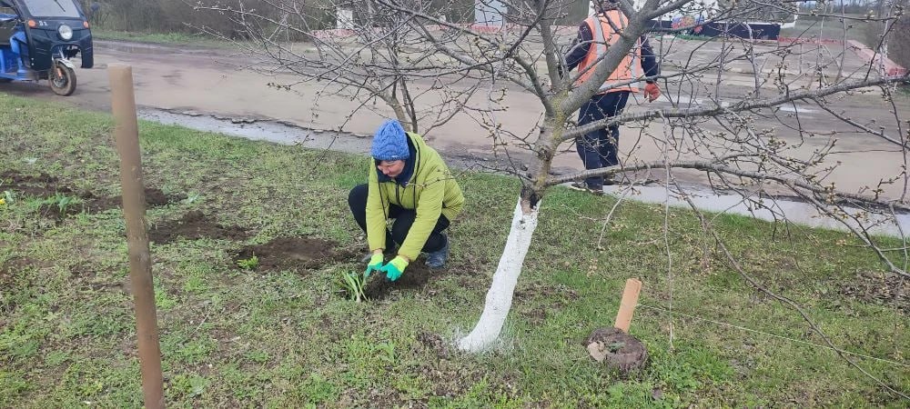 В Червонском ТО прошла весенняя акция по благоустройству и озеленению В Червонском ТО прошла весенняя акция по благоустройству и озеленению