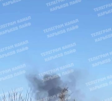 �������: ������, ��������� ��� 8. � ���� ����� ����. � ������ �������� �������� ������