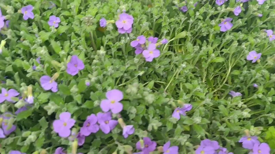 ���� ��������: ������ ����, ������ � ����� ����������� ������!