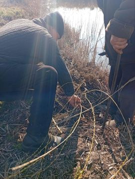 ����������� ���������������� ������� ������� ��������������� � ���� ������� ����������