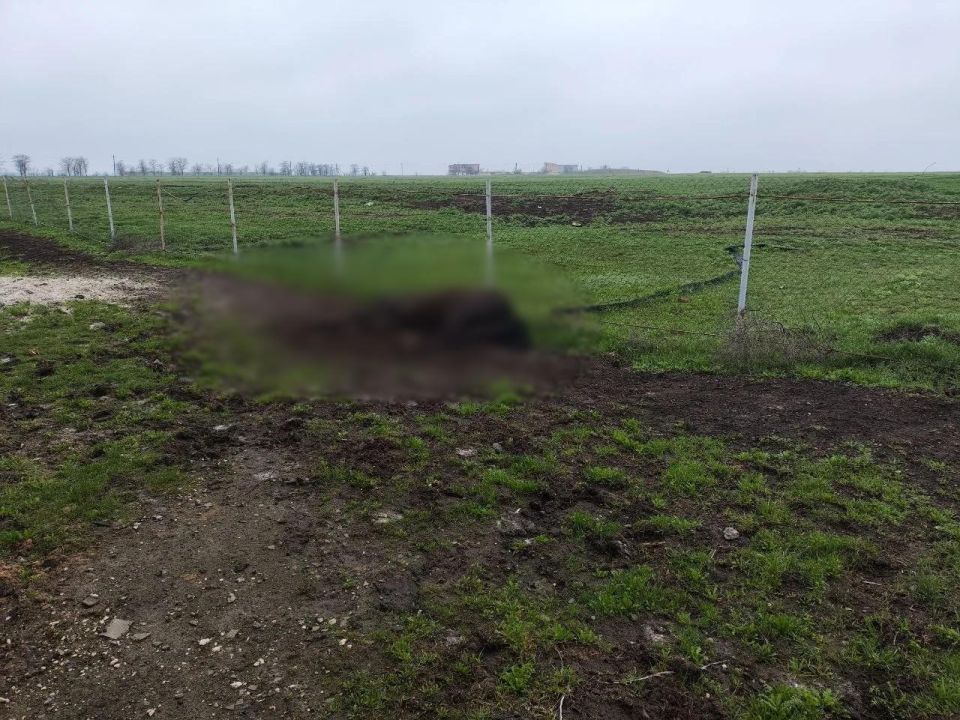 14 лошадей погибли в результате атаки дронов ВСУ на конную ферму в Акимовском муниципальном округе, сообщает Балицкий 14 лошадей погибли в результате атаки дронов ВСУ на конную ферму в Акимовском муниципальном округе, сообщает Балицкий