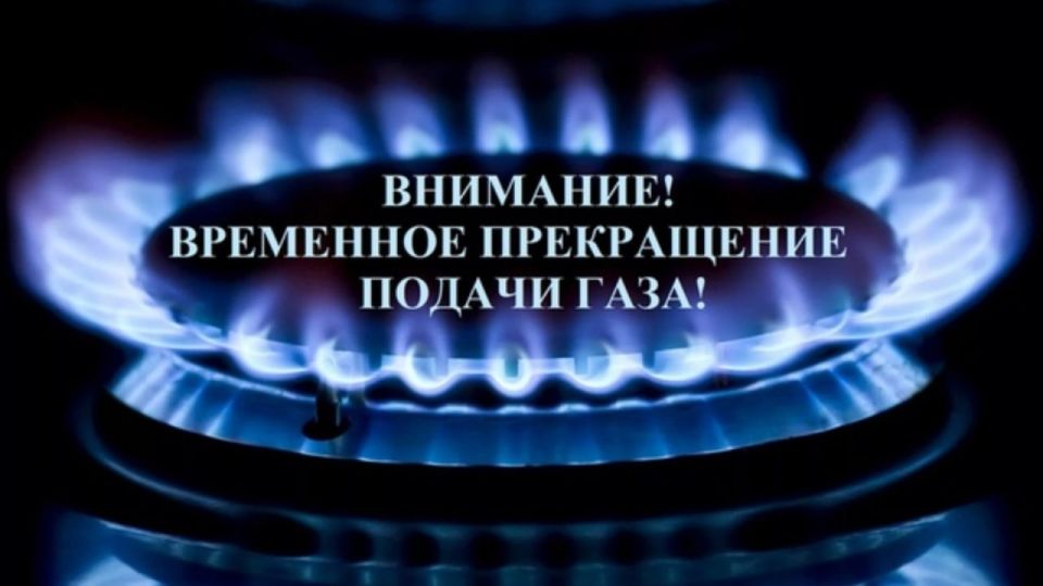 Экскурсия ко Дню птиц прошла в Геническом музее Экскурсия ко Дню птиц прошла в Геническом музее