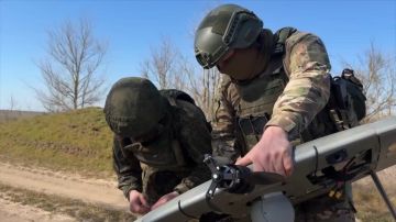 ������������� ����������� ����� "�����" ���������� ����� ��������� ���������� ��� �� ������������ ������ � ���������� �������