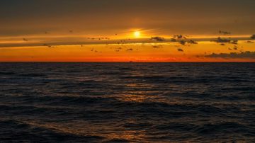 ����� ����������: � ����������� ������� ������, ������