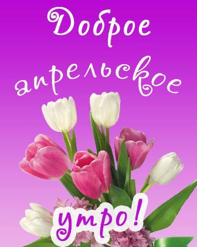 ������ ����, ������� ������ ������!