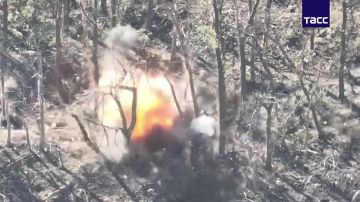 ��������� ������������� ����������� ����������� ��������� ������� ����� ��� � ����������� �������