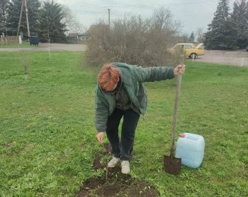 2 ������ � ���� �������� ������� ������ � ��������: ������ ������ � ����� �������