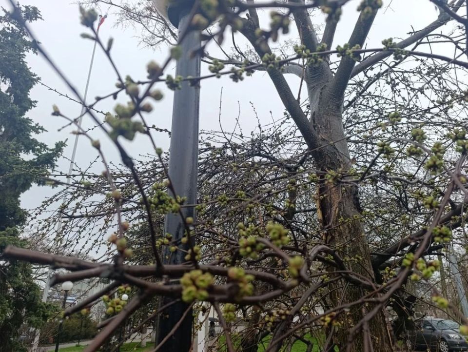 ���� ��������: ������ ����, ������ � ����� ����������� ������!