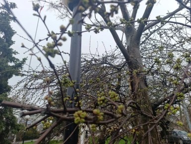 ���� ��������: ������ ����, ������ � ����� ����������� ������!