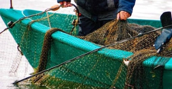 01 ������ 2026 �. � ������ ������ ���������� ������