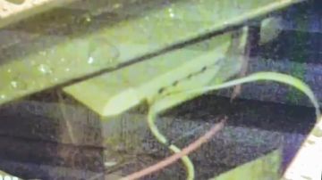 ��� ������ � ������ ������������ ������, ��������������� ��� � ��������� ������������ ������������������ �������