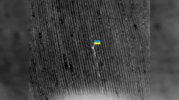 ����������� �����.. ������ ���� ����������� "������" ���������� ���������� ����� ���� ���������� � ������������ �.�. �������. ��������-����� ���������� �������