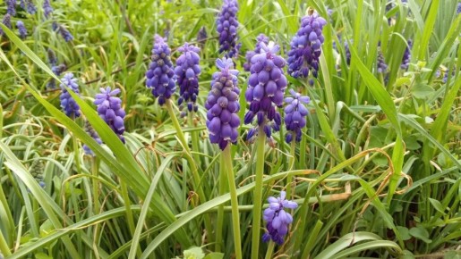 ������ ��������� ����!. ����� ��� ����� ������, � ����� �������� � ������� ���� � ���������� ������������� �������! �� ���� ����� ���� ����� ������