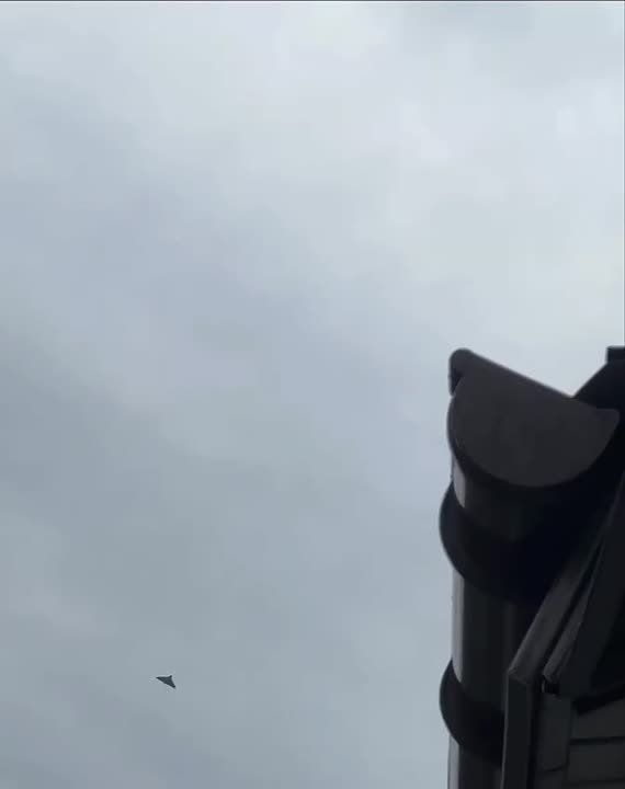 ���� ����� ��� �������� ��������