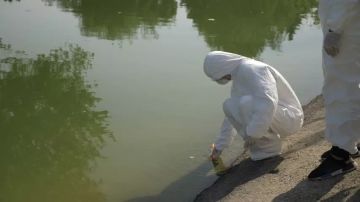 ���� �� �������: ������������� ���� � ������� ������������ � �������� �� ������ �������� � ���������, ������������ ������� � ������� ��� ��������� ���������� �����