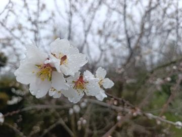 Юлия Семякина: Доброе утро, жители и гости Генического округа!