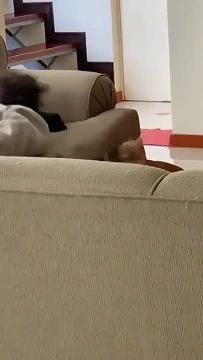 Не спать! Кота всю ночь не кормили!