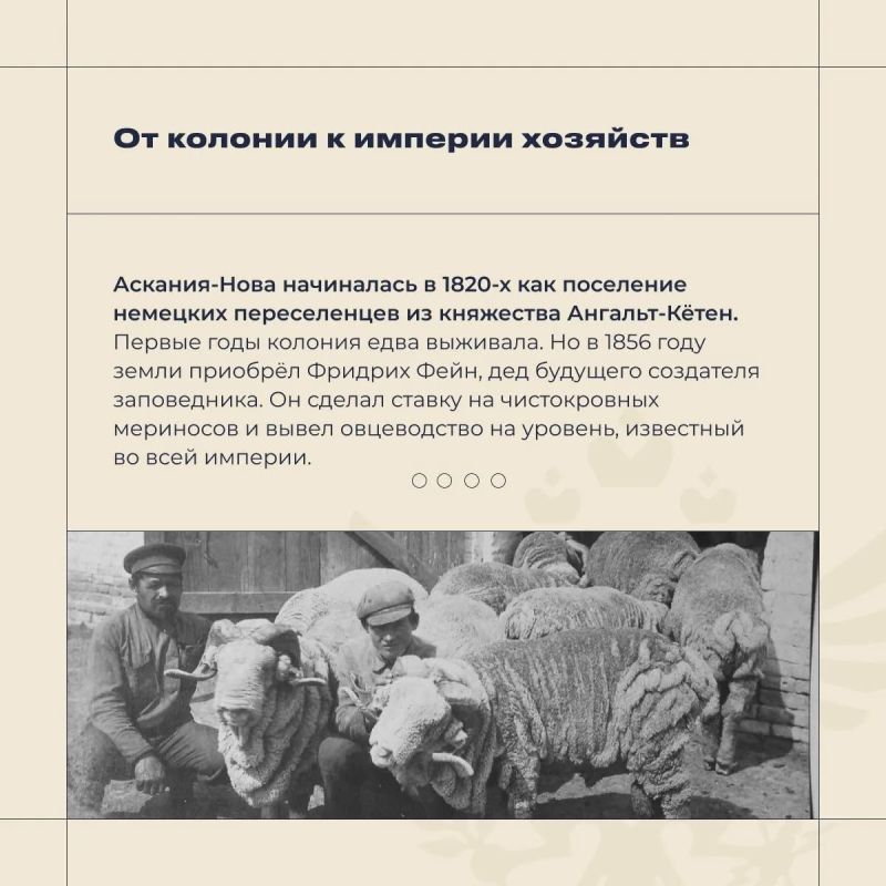 4 ������ � ���� �������� �������� �����-�����