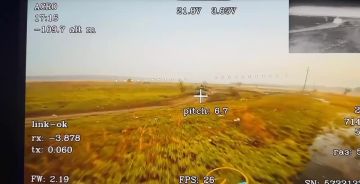 Беспощадная погоня нашей птички за хохляцким Хаммером