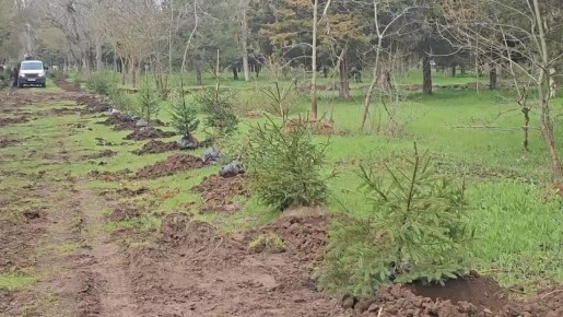 Месячник благоустройства в Скадовске: посадка деревьев в парке «Молодёжный»