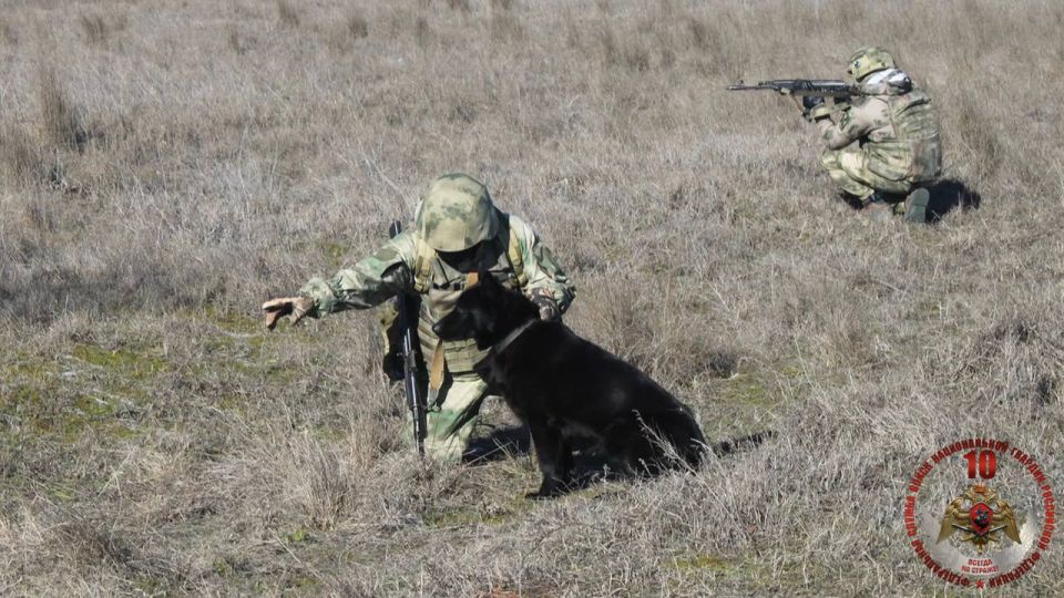 ������ ���������� �� ����� ����������� ����� 2600 ������������� ��������� � ���������� � ����������� ��������