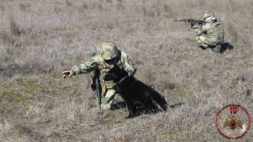 Саперы Росгвардии за месяц обезвредили более 2600 взрывоопасных предметов в Херсонской и Запорожской областях