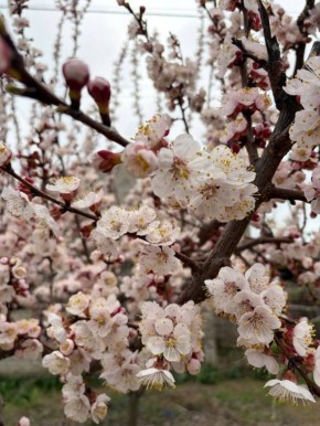 Доброе утро, дорогие подписчики!