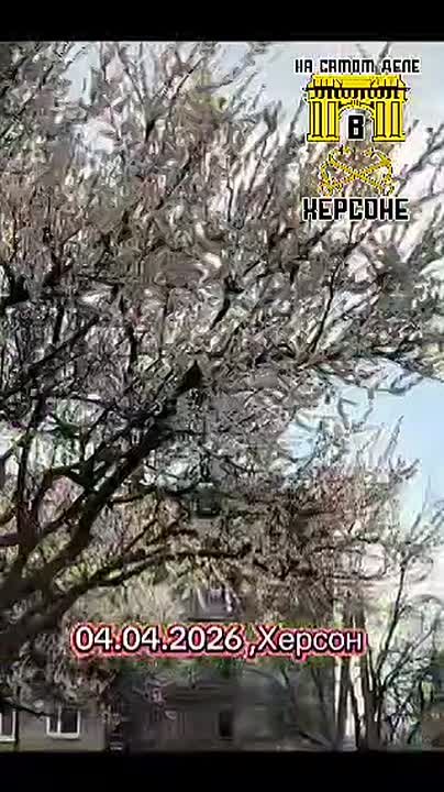 Херсон. Сегодня.. ПОДПИСАТЬСЯ