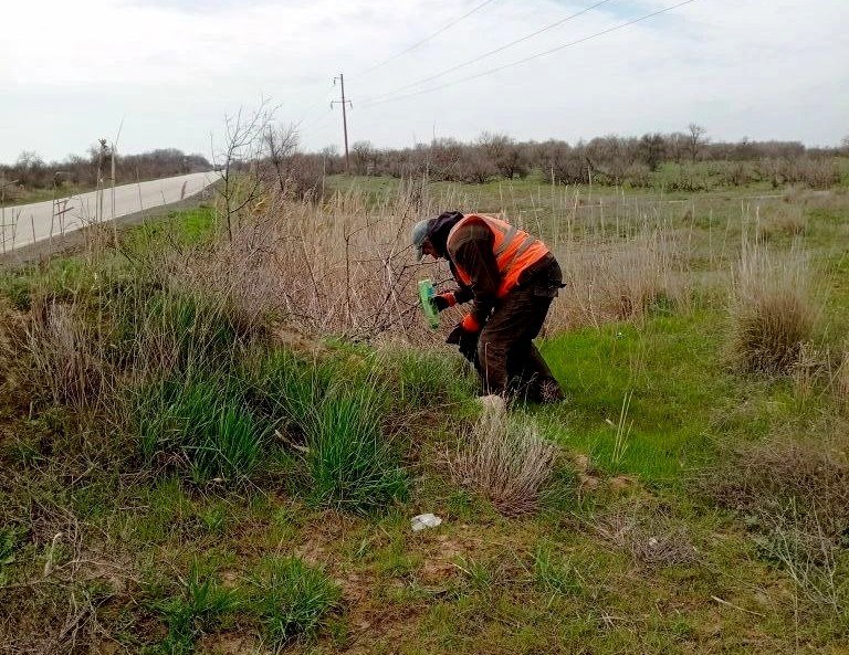 Работы по наведению порядка в ТУ «Лазурное» Работы по наведению порядка в ТУ «Лазурное»
