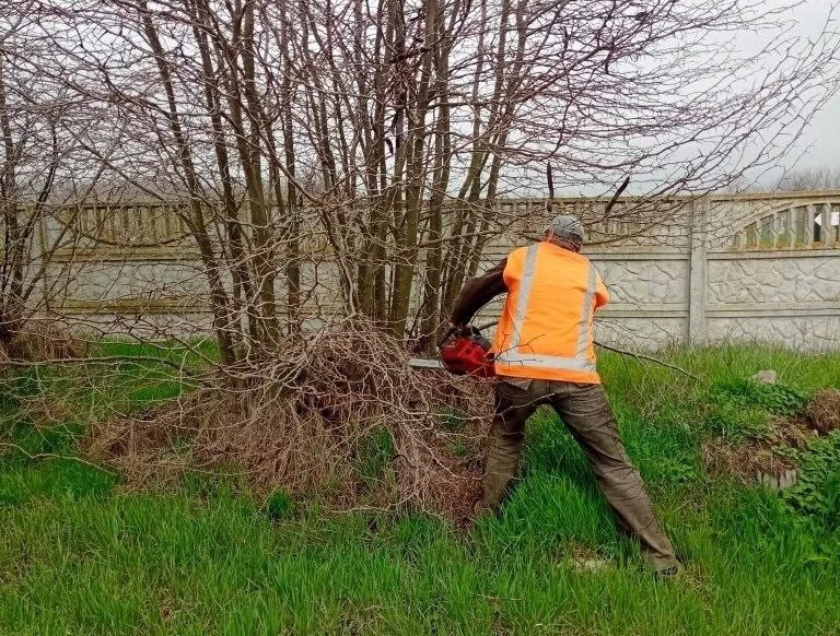 Работы по наведению порядка в ТУ «Лазурное» Работы по наведению порядка в ТУ «Лазурное»