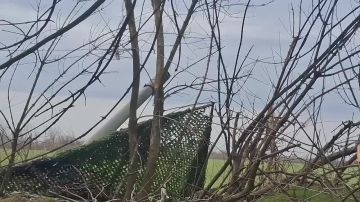 �������� ������ ����� ���������� ������� � ��� ���