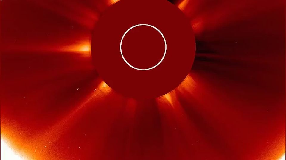 ������ ��������� ����� ����� ������ ����