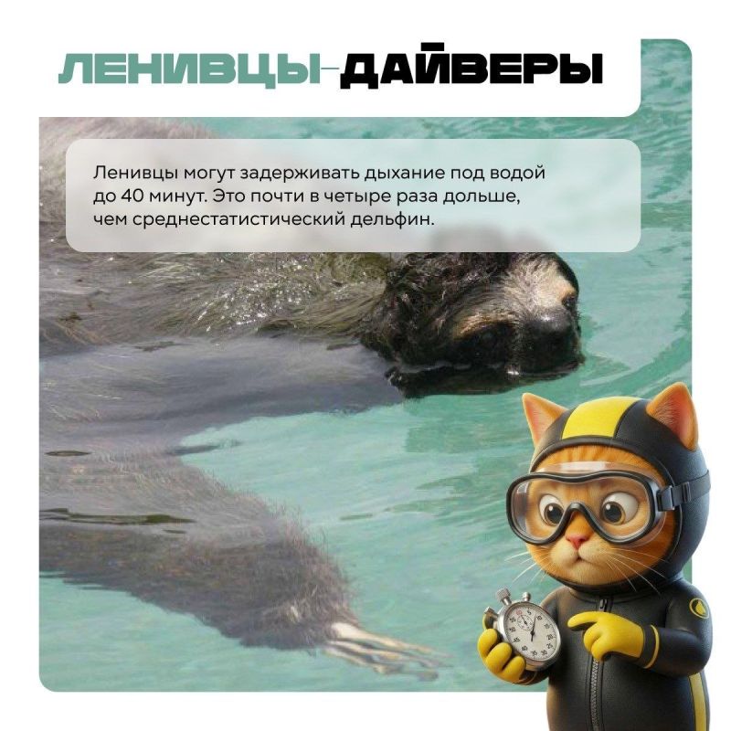 ��� ����� ������������ �����, � ������� �� ���� �� ������������!