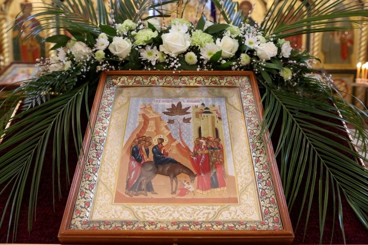 Море людей, шум и гул тысяч голосов, скандирование «Осанна! Осанна в вышних!», ТОПовая «ковровая дорожка» в город из пёстрой восточной одежды и пальмовых ветвей под копытцами ослика! Великая людская слава для Человека...