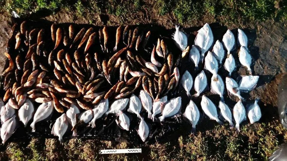 В Херсонской области завершено расследование уголовного дела о незаконной добыче водных биологических ресурсов В Херсонской области завершено расследование уголовного дела о незаконной добыче водных биологических ресурсов