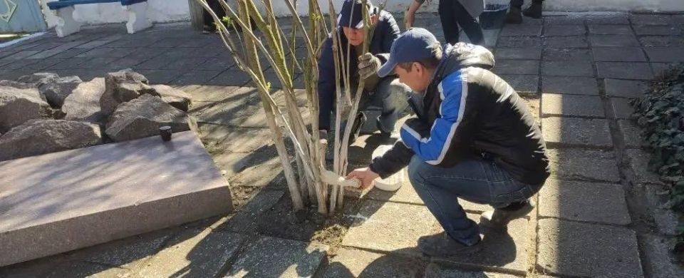 �������� ��������: � ��������� ������ �������: ��� ������������� ���������� � �������������