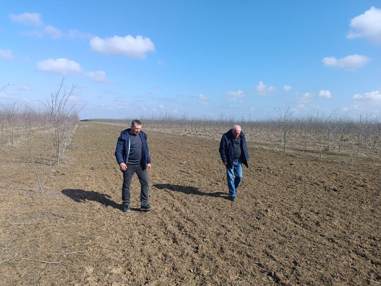 В Новотроицком лесничестве специалисты ГАУ ХО «Новотроицкое лесоохотничье хозяйство» провели плановое обследование противопожарных минерализованных полос