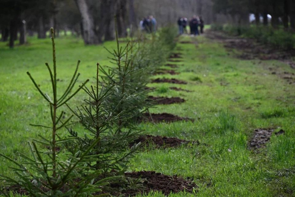 �������� ���� �������. � ����� ���������� �������� 182 ������� ���