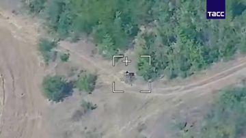 ����� ������������. �� ���������� ����������� ���� � �������� ������� ����� ����� ������