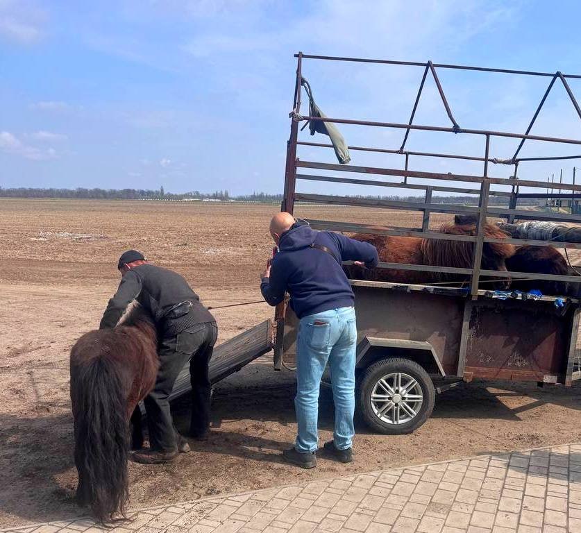 Пони-клуб появится в Херсонском центре физической культуры и спортивного досуга Пони-клуб появится в Херсонском центре физической культуры и спортивного досуга