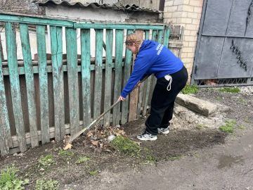 Порой обычная уборка во дворе может стать непростой задачей