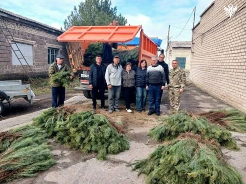 Херсонская область передала ЛНР 60 тысяч сеянцев сосны крымской Херсонская область передала ЛНР 60 тысяч сеянцев сосны крымской
