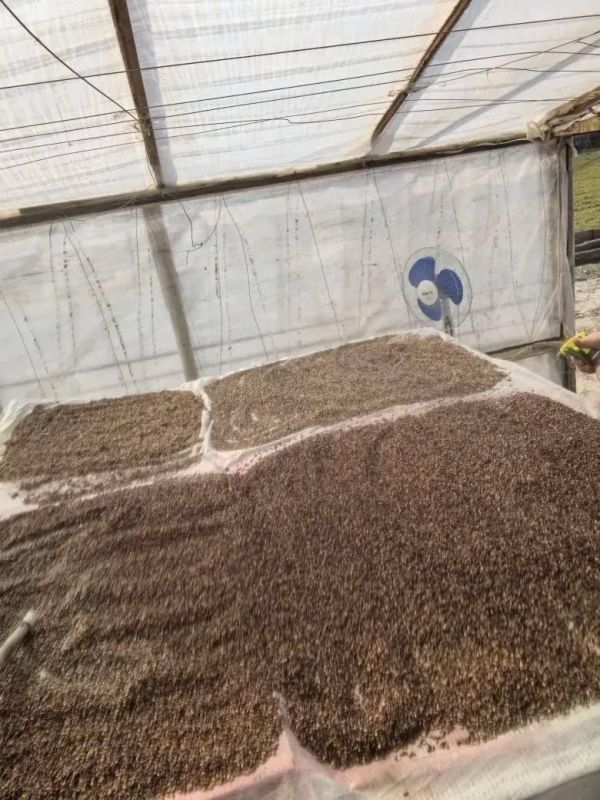 ����������� ������������ ����������� ������ ���������� ����� ����� �������� ��� ������ � ��������