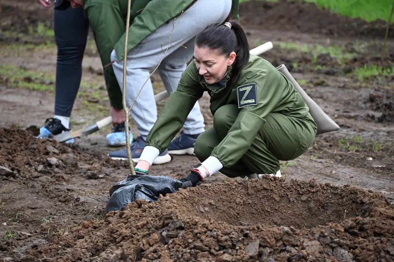 В Скадовске высадили 182 молодых ели в парке «Молодёжный» В Скадовске высадили 182 молодых ели в парке «Молодёжный»