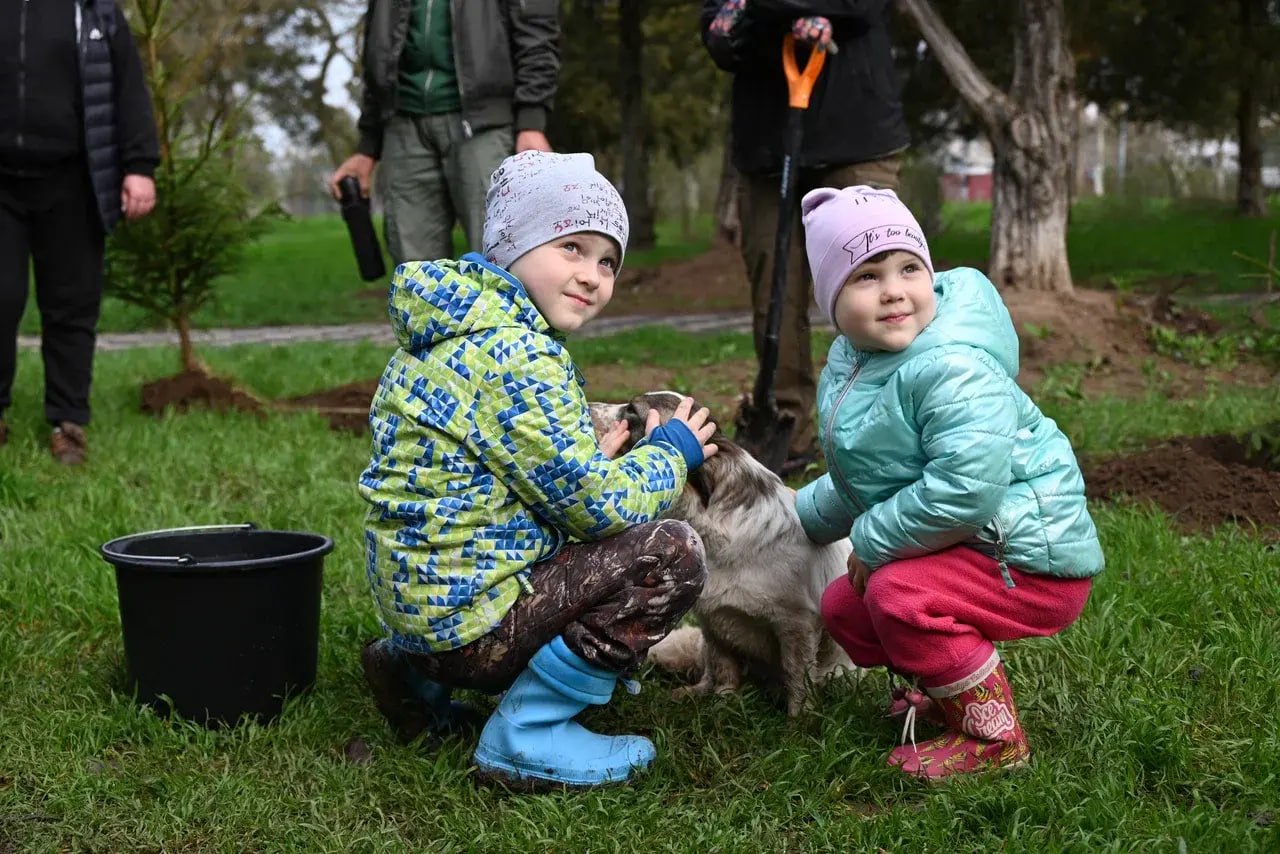 В Скадовске высадили 182 молодых ели в парке «Молодёжный» В Скадовске высадили 182 молодых ели в парке «Молодёжный»