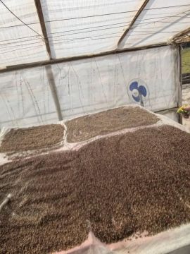 ����������� ������������ ����������� ������ ���������� ����� ����� �������� ��� ������ � ��������