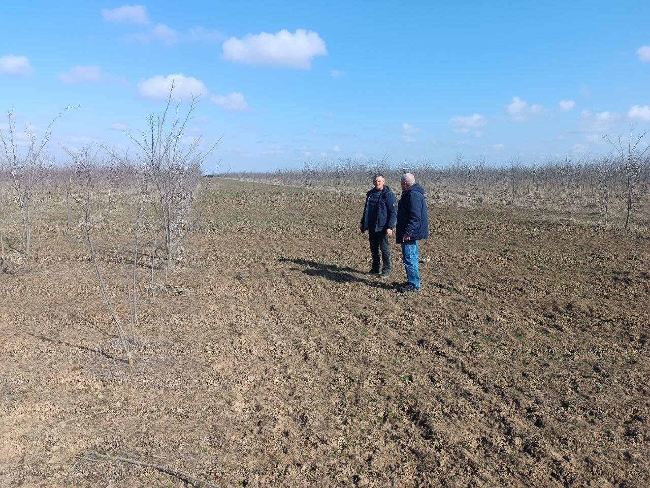 В Новотроицком лесничестве специалисты ГАУ ХО «Новотроицкое лесоохотничье хозяйство» провели плановое обследование противопожарных минерализованных полос В Новотроицком лесничестве специалисты ГАУ ХО «Новотроицкое лесоохотничье хозяйство» провели плановое обследование противопожарных минерализованных полос