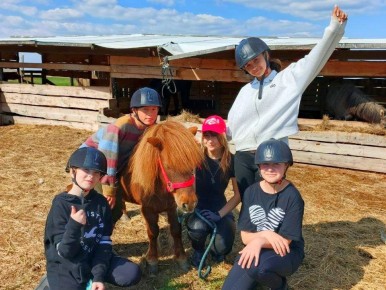 ����-���� �������� � ���������� ������ ���������� �������� � ����������� ������